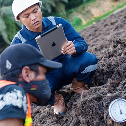 BARformula field engineers inspecting Matrix substrate on the plantation floor